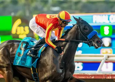Miss Monica gives Baffert 13th Del Mar Debutante triumph