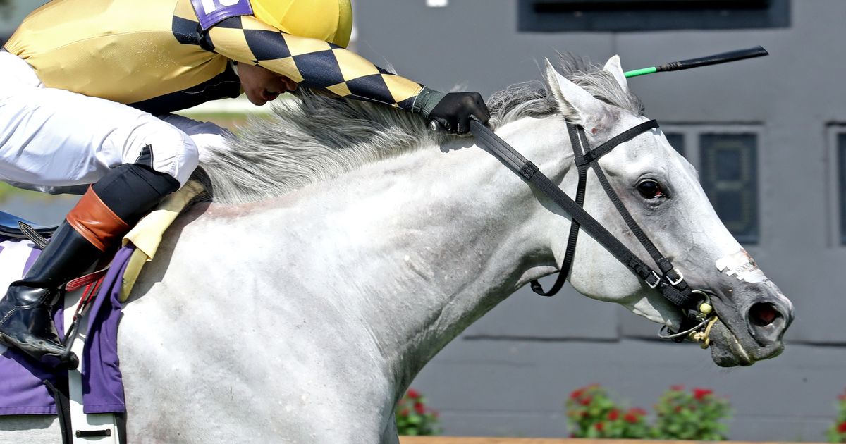 Love You Anyway gets first stakes win with Sunkissed Stakes upset