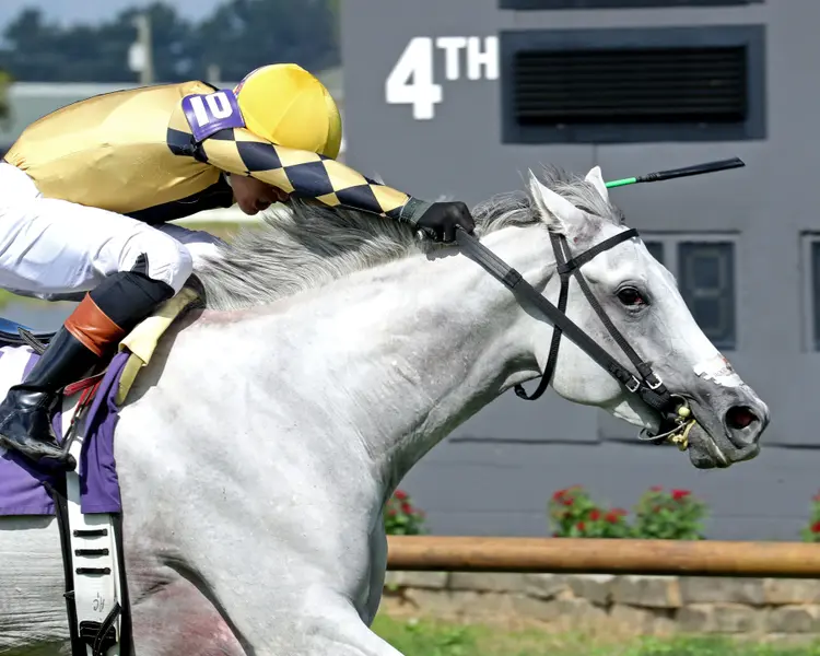 LOVE YOU ANYWAY - Sunkissed Stakes - 08-02-26 - R09 - Ellis Park - Finish 04 - Chanse McKenzie
