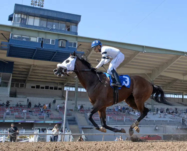 Talk to Me Jimmy wins New York Derby at FL July 13 2026