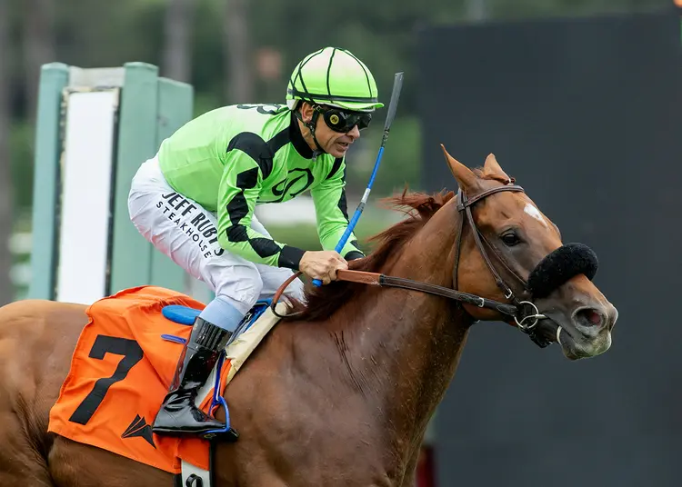 Boss Sully ti1 200
