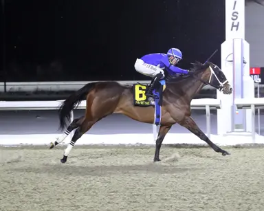 Ms. Tart rolls in Wishing Well Stakes