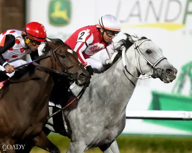 Stablemates happy to be home for rematch in Malvern Rose
