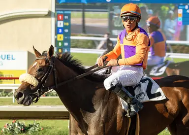 Magnificat likely to start in Zenyatta Stakes at Santa Anita on Sept. 27