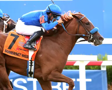 Sadler says Somerset West unlikely to start in Breeders' Cup race