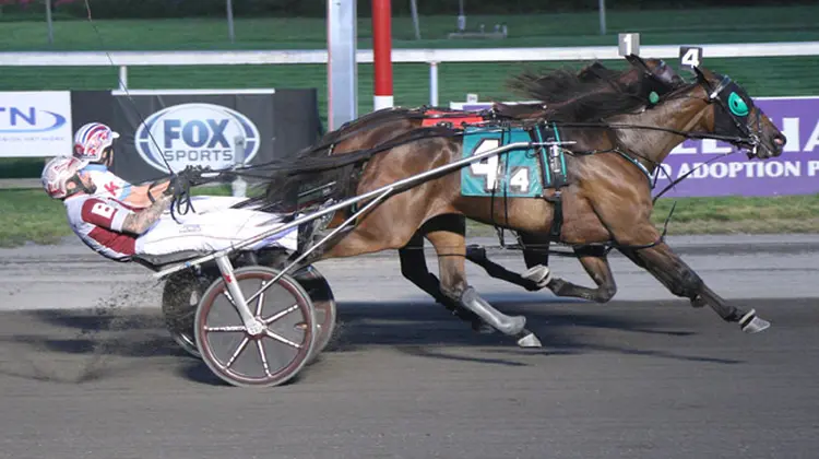 Grand Prix Deo 8-29-26