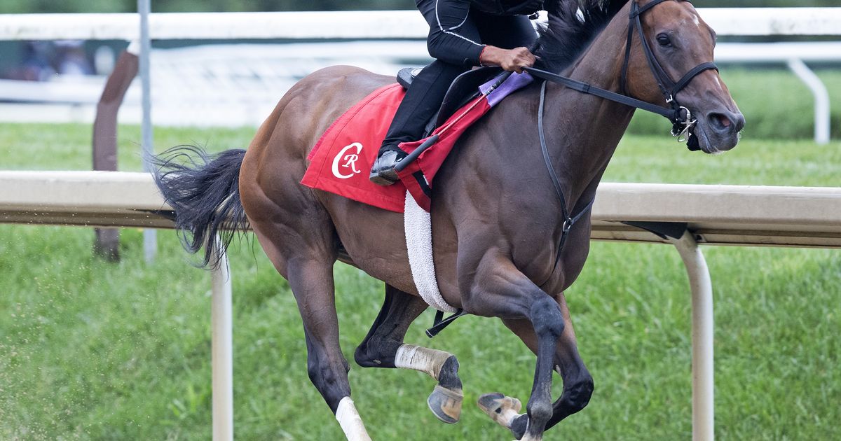 Deterministic works over Oklahoma turf course; Nitrogen, Sandman also on tab
