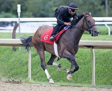 Deterministic works over Oklahoma turf course; Nitrogen, Sandman also on tab
