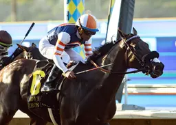 Breeders' Cup: For Iron Man Cal, decision on Dirt Mile or Sprint may be last-minute