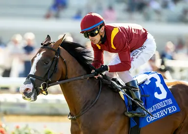 Observed boosts trainer Thomas' West Coast credentials with Del Mar Juvenile Turf victory