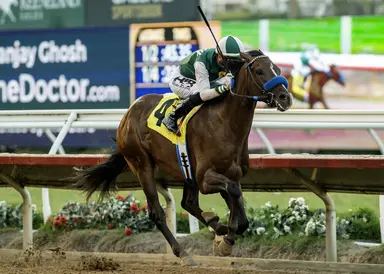 Five riders in scrum for meet title