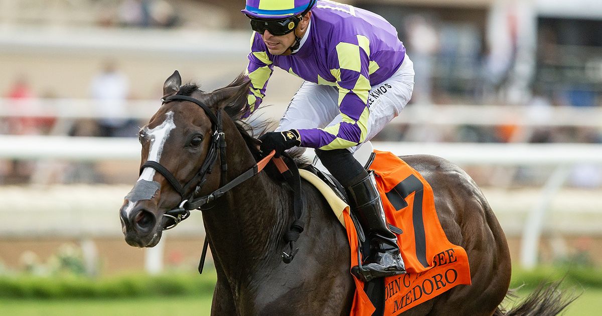 Medoro parlays ideal trip into Mabee Stakes victory