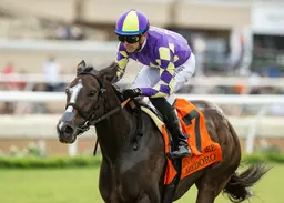 Medoro parlays ideal trip into Mabee Stakes victory