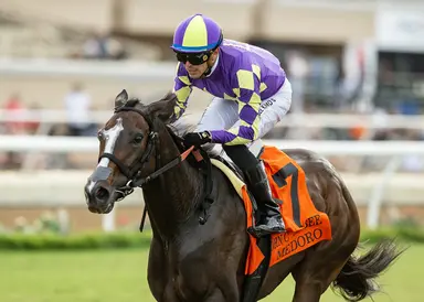 Medoro parlays ideal trip into Mabee Stakes victory
