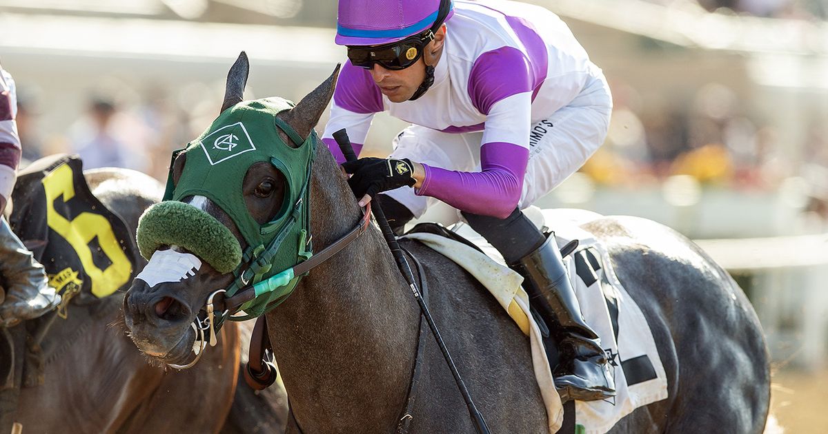 Net Par holds off King Kameha to win Graduation Stakes