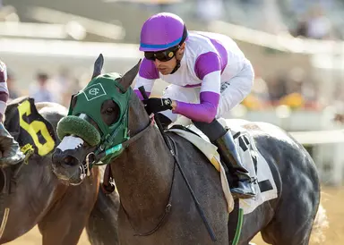 Net Par holds off King Kameha to win Graduation Stakes