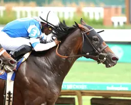 Tomlinson takes his time with stakes-winning pair