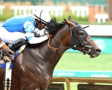 Tomlinson takes his time with stakes-winning pair