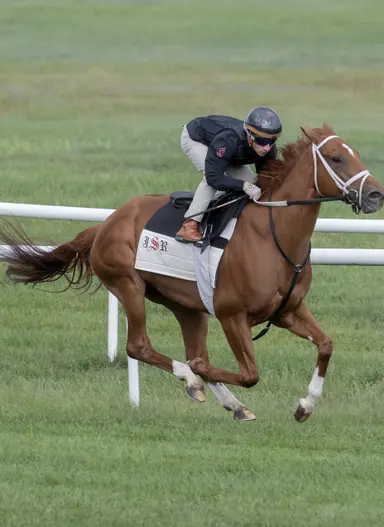 Souper Survivor better prepared against easier group in Bull Page