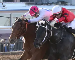 Daneyko noses Way Beyond in Riley Allison Derby