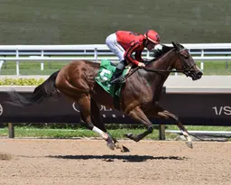 Nic's Style breaks through with Fillies and Mares Sprint victory