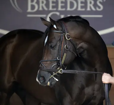 Cogburn returning early from Australia shuttle season