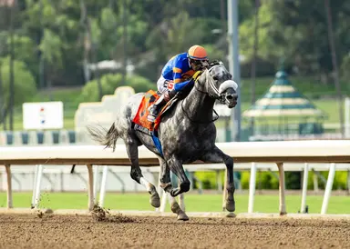 Forged Steel earns BC Classic spot with another local win in Goodwood