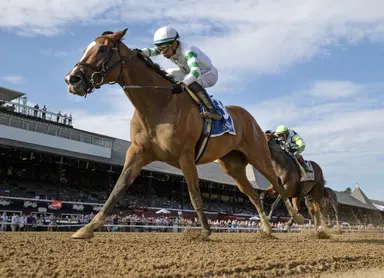 Franco guides Munnings Express to Johnstone victory in stakes debut