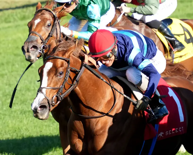 ADONIUS - The Indian Summer Presented by Keeneland Select G3 - 10-04-26 - R08 - Keeneland Race Course - Inside Finish 03 - Yeruza Rodriguez