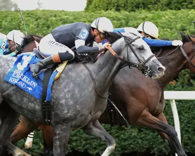 Time to Dazzle notches second consecutive Franklin Stakes triumph