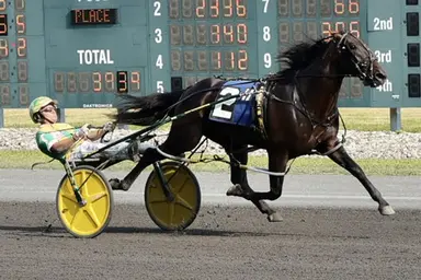 Harrah's Philadelphia: PA Sire Stakes champs qualify on Tuesday