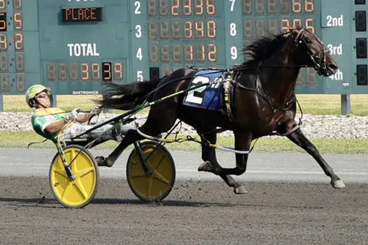 Frantic Hanover 9-5-25