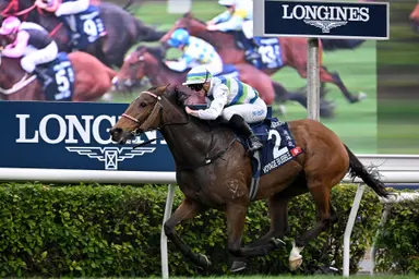 Voyage Bubble pursues FWD Champions Day supremacy