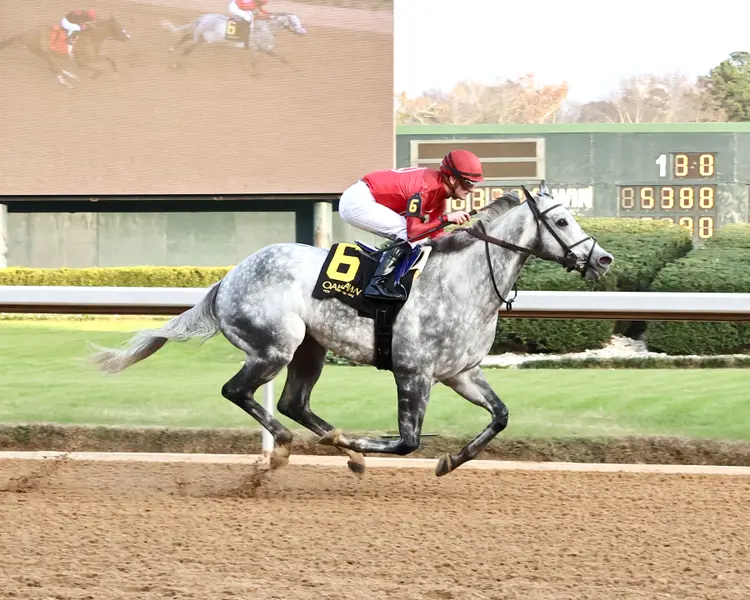 ROLL ON BIG JOE - Ring The Bell Stakes - 12-13-25 - R08 - Oaklawn Park - Finish 01 - Kurtis Coady.jpg