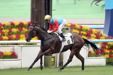 Ka Ying Rising romps to 13th straight win as Zac Purton slots five-timer