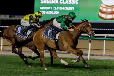 Calandagan bids for Champion repeat on stacked Ascot card