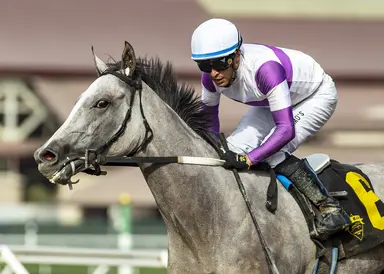 She's No Quant wins Fleet Treat in dirt debut