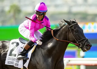 Old pros highlight closing-day card at Los Alamitos