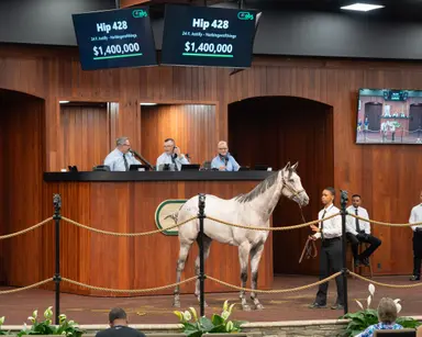 Justify filly sets OBS June record at $1.4 million