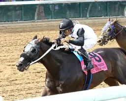 Weekend GamePlan for Sept. 26, 2026: Picks for Joe Hirsch Turf Classic, Ack Ack, Selima