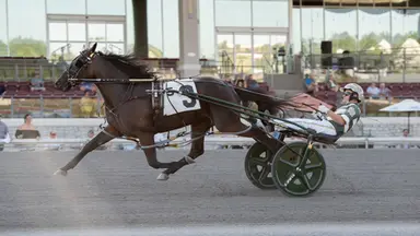 The Meadows:  Burke Brigade bats three-for-three in Pennsylvania Sire Stakes