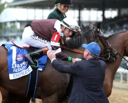 With Alcibiades victory, Emphatic leads Walsh's Breeders' Cup runners
