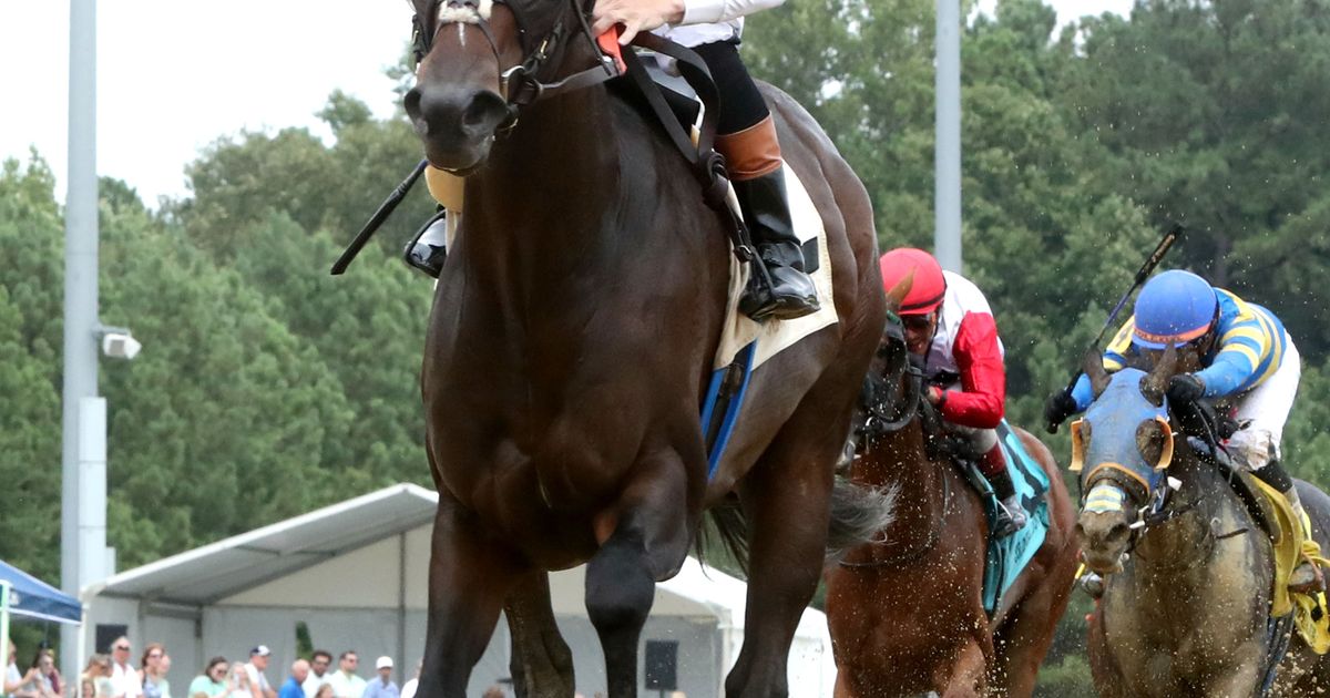 Patience pays off as Mashallah dominates stakes debut in Tyson Gilpin
