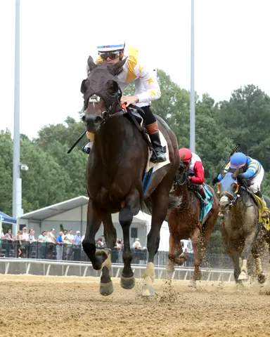 Patience pays off as Mashallah dominates stakes debut in Tyson Gilpin