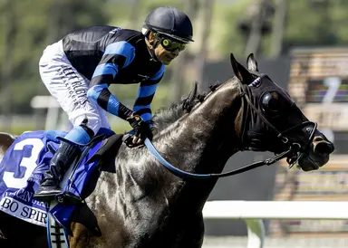Cabo Spirit to gun for lead in Del Mar Mile