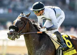 Breeders’ Cup Turf Sprint: Sorrento Sky to be supplemented