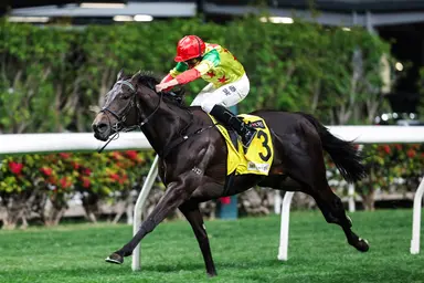 Soleil Fighter lands DBS x Manulife Million Challenge at Happy Valley