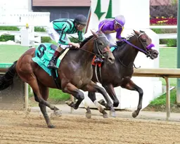 Blessed Flyer ($65.82) catches He Is No Lie, upsets Bashford Manor