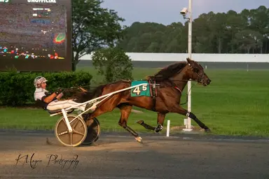 Ocean Downs: Freshman colts shine in Maryland Standardbred Fund action 