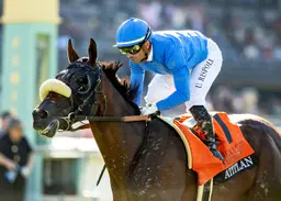 Mandella says Atitlan could thrive in Breeders' Cup Turf